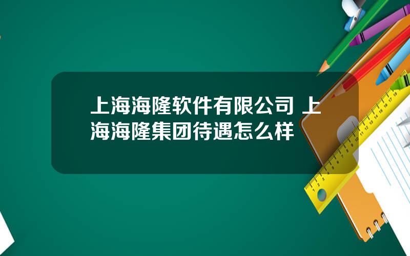 上海海隆软件有限公司 上海海隆集团待遇怎么样